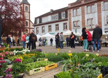 Office du Tourisme Alsace Verte